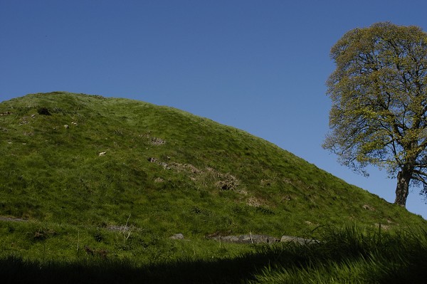 IRSKO 2005