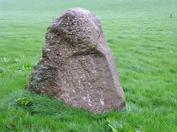 IRSKO 2005