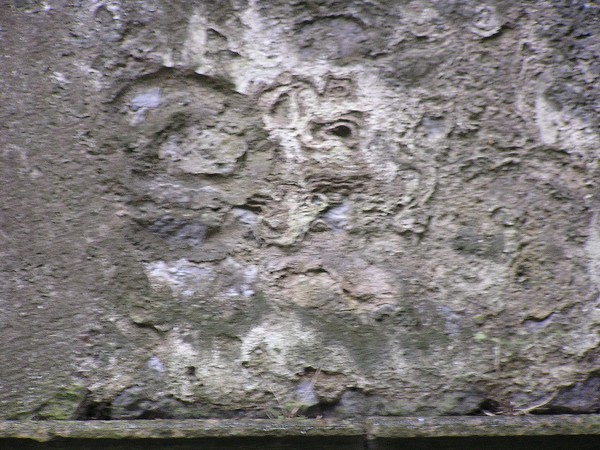IRSKO 2005