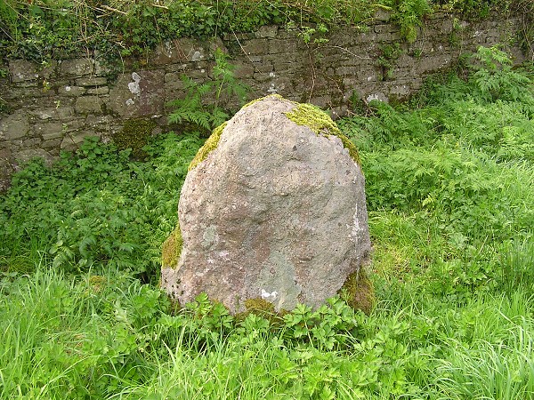 IRSKO 2005